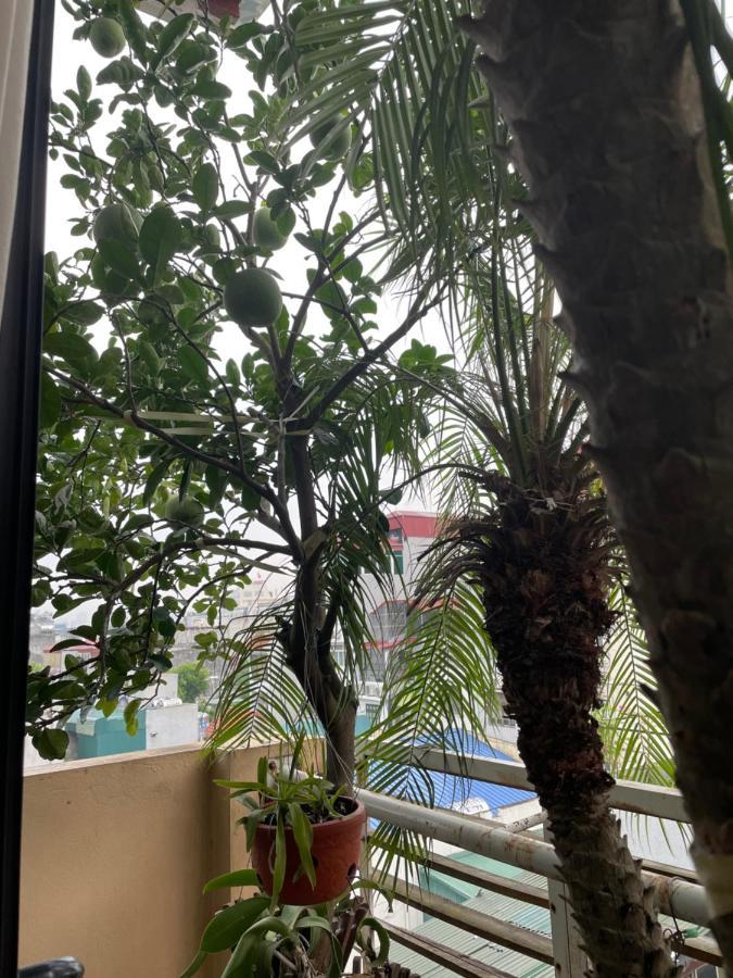 अपार्टमेंट Residence-800m From Opera House Hanoi